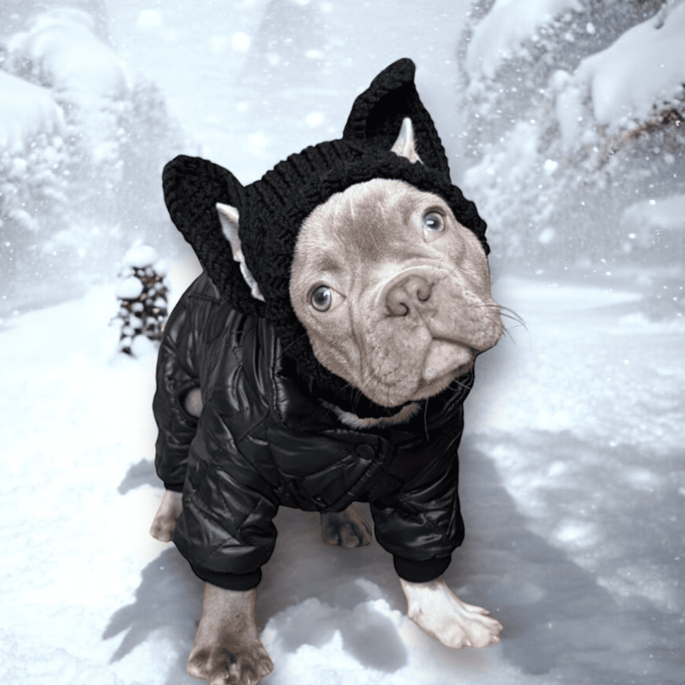 Bonnet Tricoté Main pour Chiens