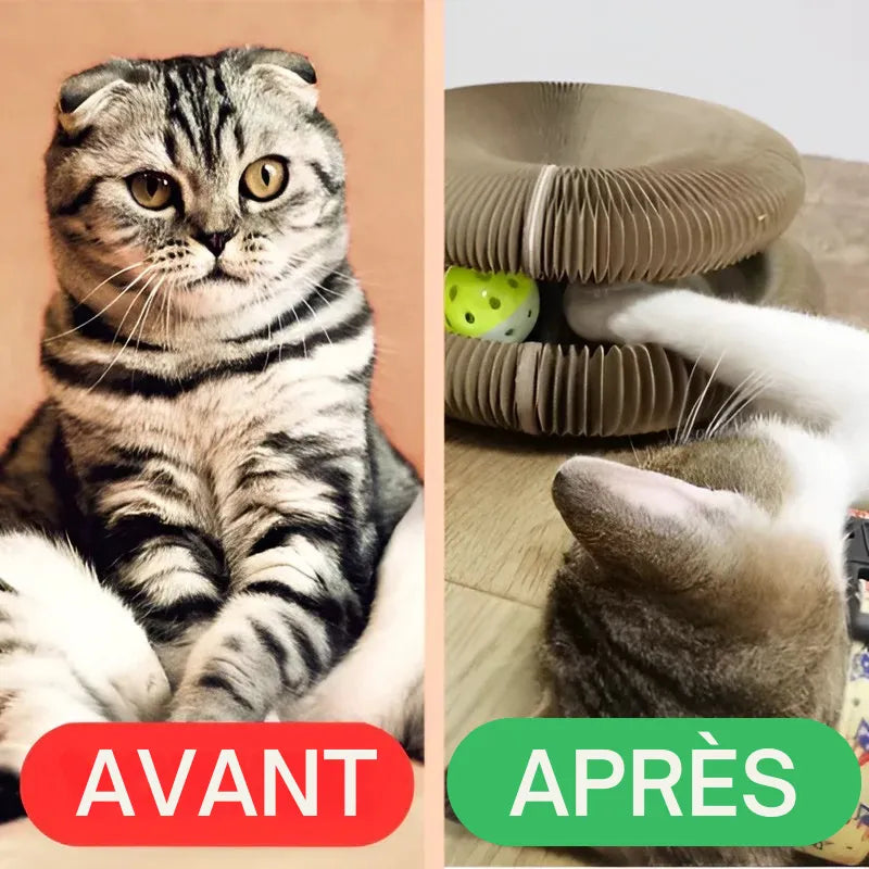 Jouet Chat Interactif 2-en-1 – Balle + Griffoir Tournant