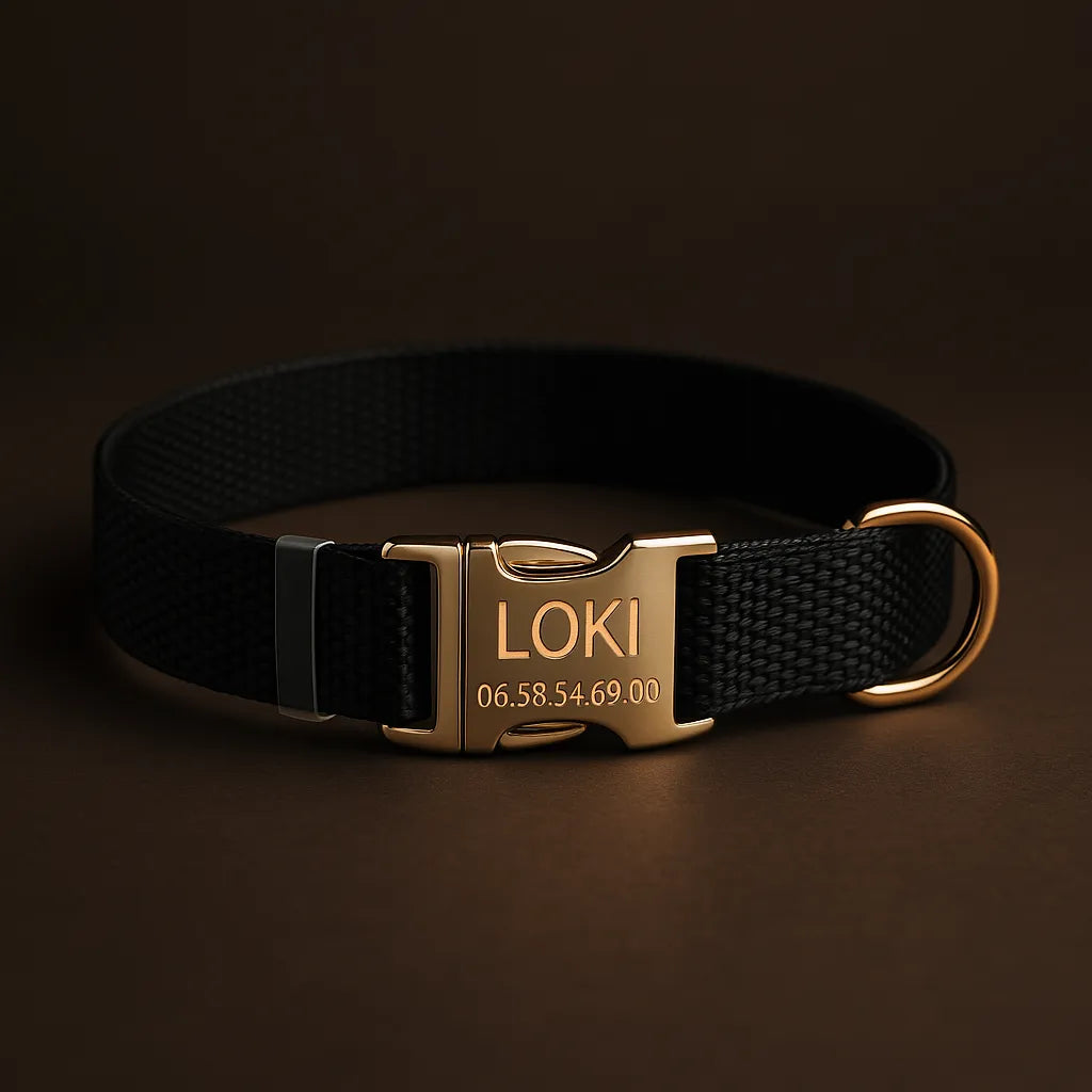 Collier Personnalisé pour Chien – Gravé avec Nom & Téléphone | Confort & Sécurité