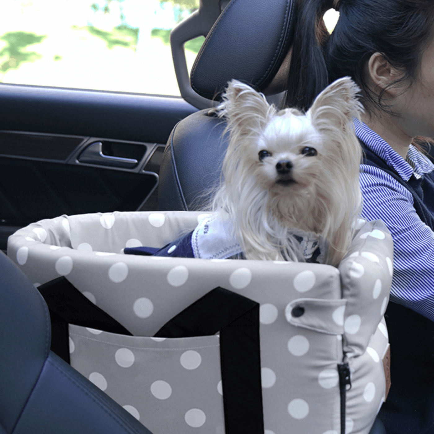 Petcomp 0 Motifs à points Lit portable pour petit chien - JollyBed™