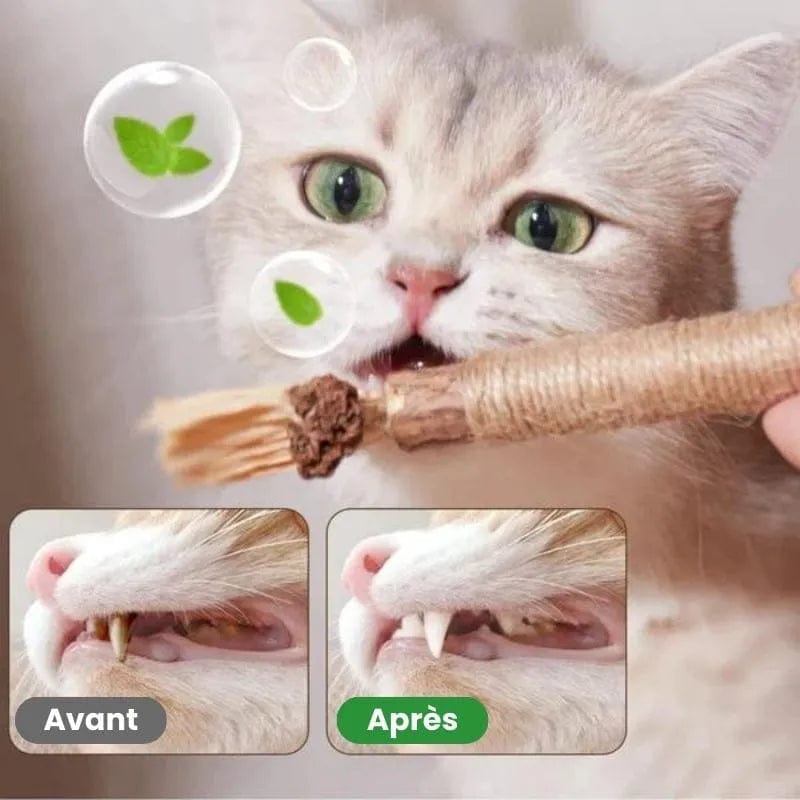 Petcomp Bâtons à mâcher pour chat - CatClean™