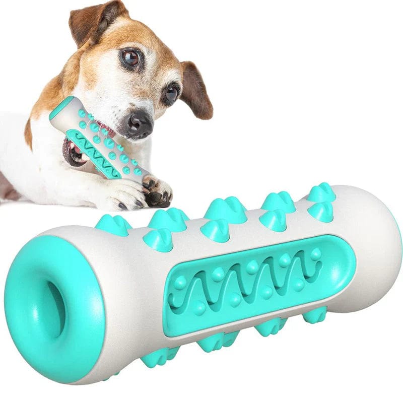 Petcomp Bleu DentaForce™ - Assurez le bien-être de votre chien