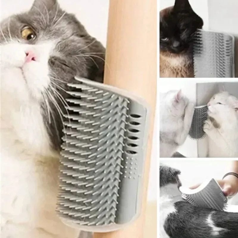 Petcomp Brosse auto massage chat