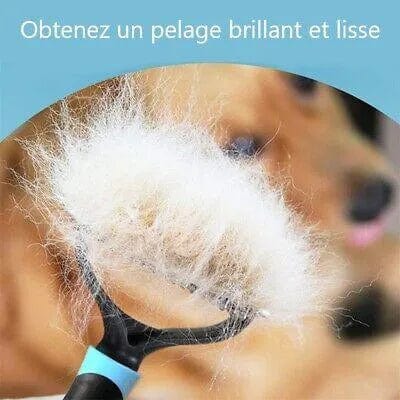 Petcomp Brosse pour chien - BrushDog™