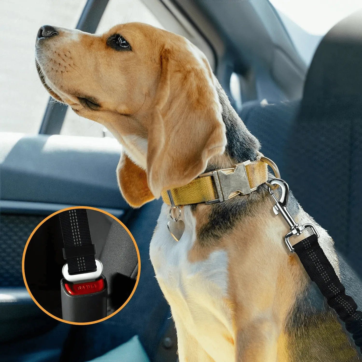 Petcomp Ceinture Sécurité Chien