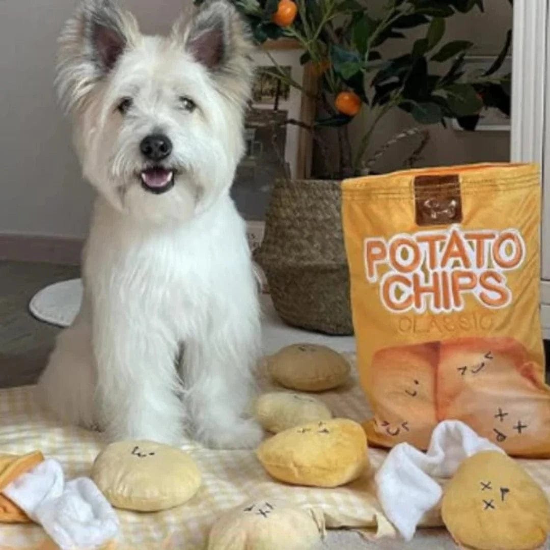 Petcomp Chips à Renifler