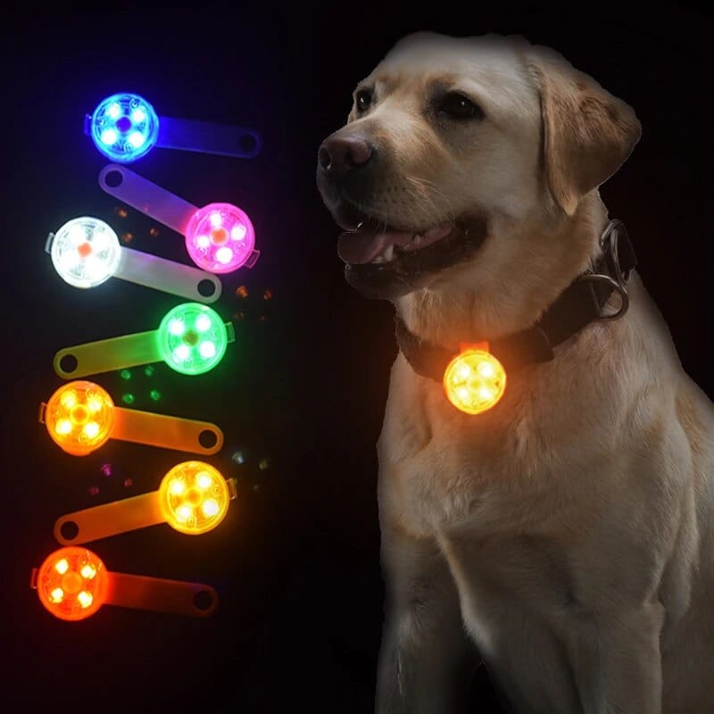 Petcomp collier chien Pendentif Lumineux pour Chien