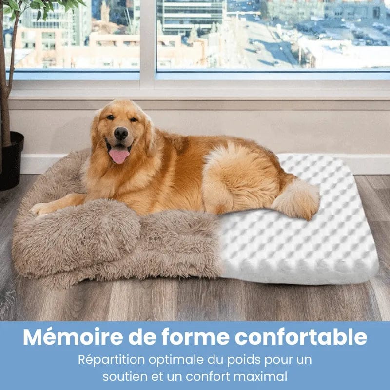 Petcomp Coussin orthopédique · DoggyDream™