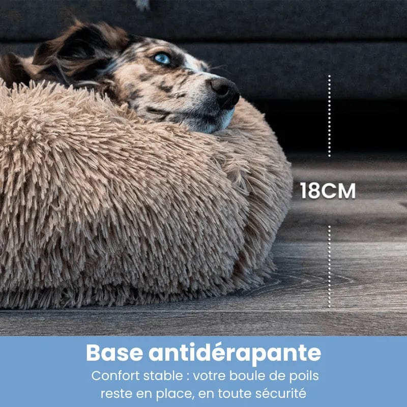 Petcomp Coussin orthopédique · DoggyDream™