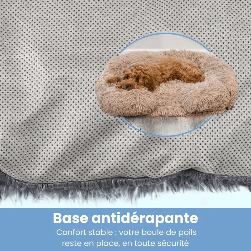 Petcomp Coussin orthopédique · DoggyDream™