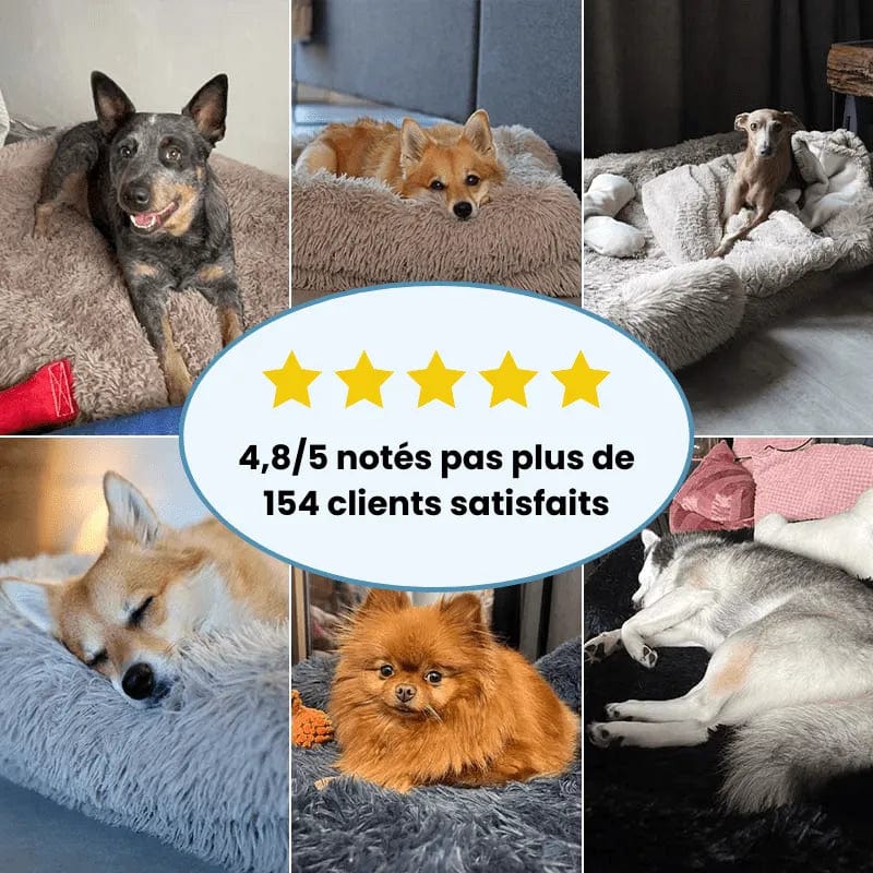 Petcomp Coussin orthopédique · DoggyDream™