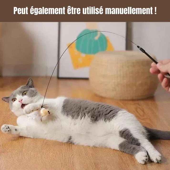 Petcomp Félix'Chasse™ - Éveillez l'Instinct Naturel de Votre Félin !