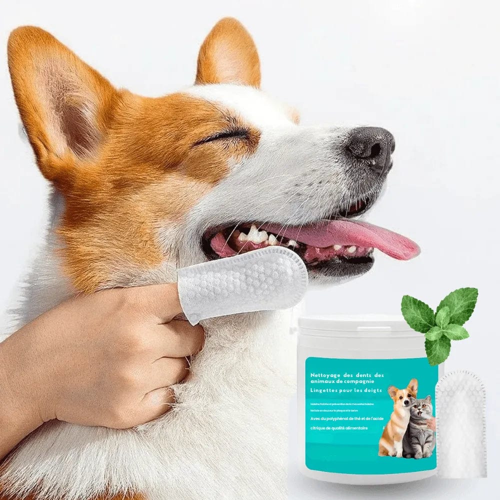 Petcomp FreshDents™ - Lingettes pour dents I Nettoyage Ultime