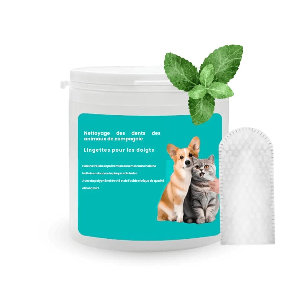 Petcomp FreshDents™ - Lingettes pour dents I Nettoyage Ultime