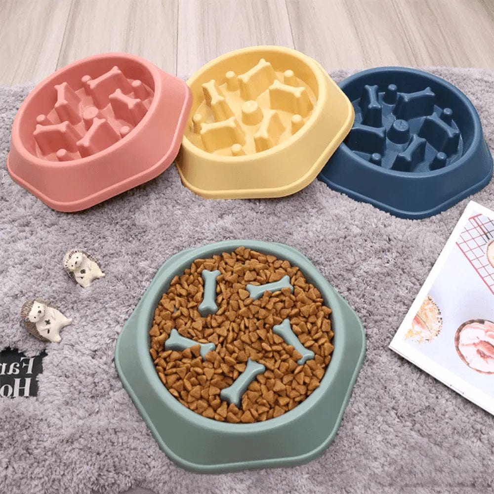 Petcomp Gamelle anti glouton - HealthyBowl™