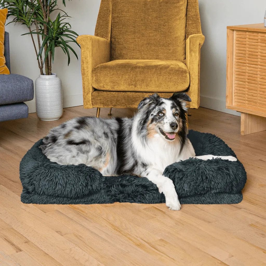 Petcomp Gris / M Coussin orthopédique · DoggyDream™