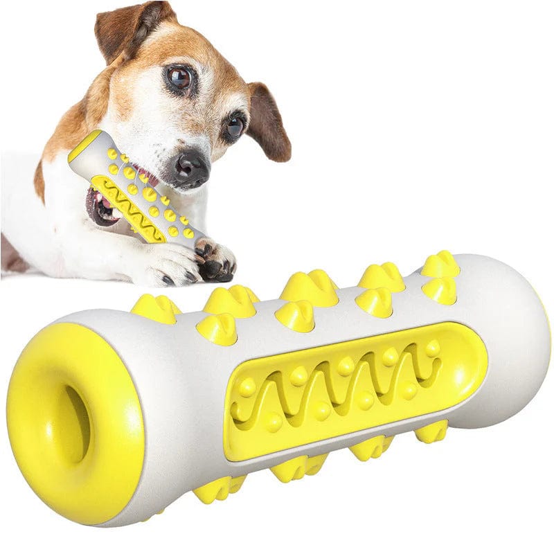 Petcomp Jaune DentaForce™ - Assurez le bien-être de votre chien