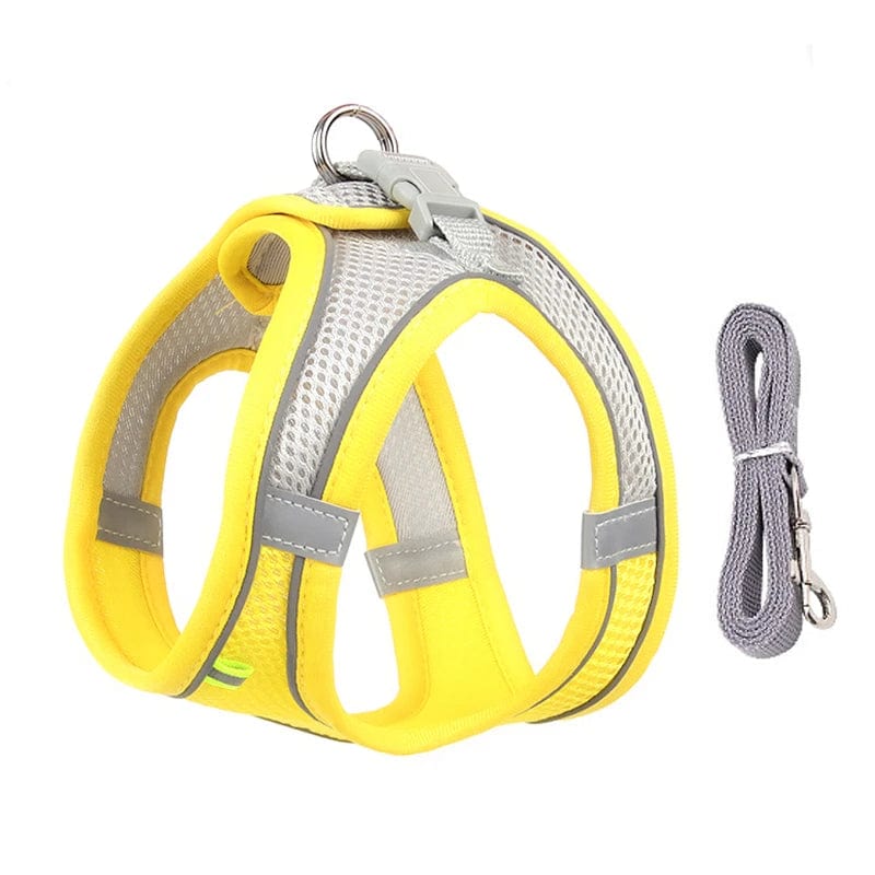 Petcomp Jaune / XXS  0.5-1.5 kg PetMove™ | Promenez avec style et confort !