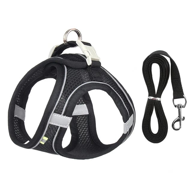 Petcomp Noir / XXS  0.5-1.5 kg PetMove™ | Promenez avec style et confort !