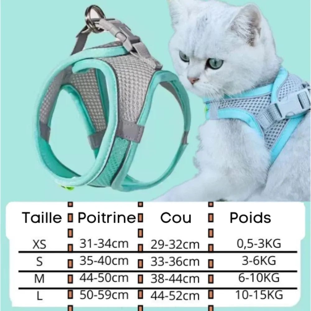 Petcomp PetMove™ | Promenez avec style et confort !