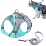 Petcomp PetMove™ | Promenez avec style et confort !