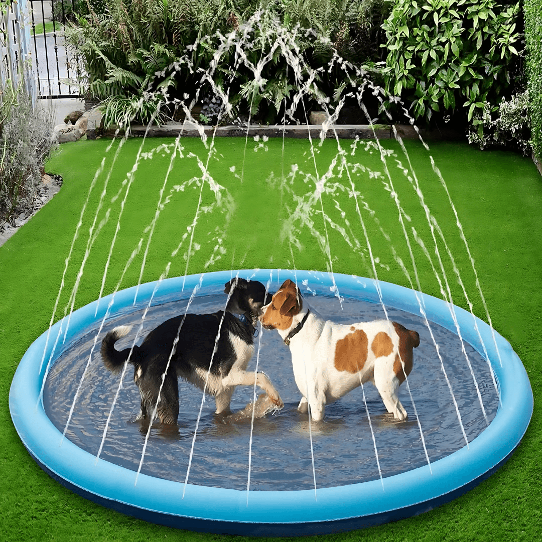 Petcomp Piscine pour animaux avec jet d'eau inclus Petcomp