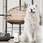 Petcomp 🐾 Purificateur d'air - Serenity Pet