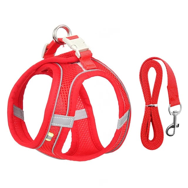 Petcomp Rouge / L 7-11 kg PetMove™ | Promenez avec style et confort !