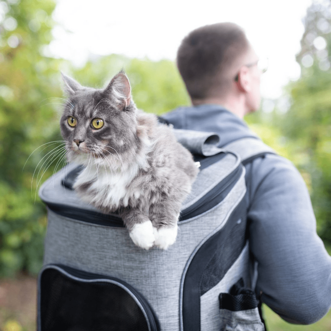 Petcomp Sac transport chat + 🎁 CarryFeed | Distributeur 2 en 1 Sac transport chat