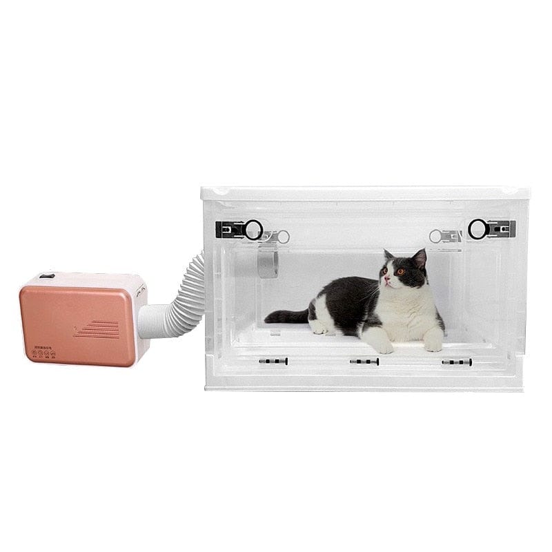 Petcomp séchoir animal Cabine Séchoir Pulseur pour Chien et Chat