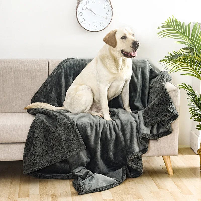 Petcomp SnuggleShield Couch Guard™ - Couverture étanche 💦