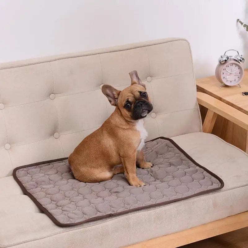 Petcomp Tapis Rafraîchissant pour Animaux - Fraîcheur Instantanée