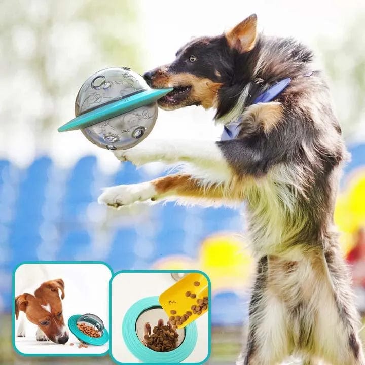 Petcomp Turquoise Distributeur de croquettes pour chien - KibbleToy™