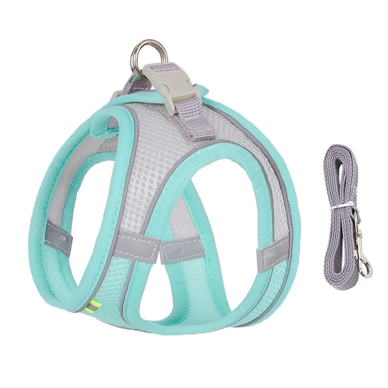 Petcomp Turquoise / XXS  0.5-1.5 kg PetMove™ | Promenez avec style et confort !