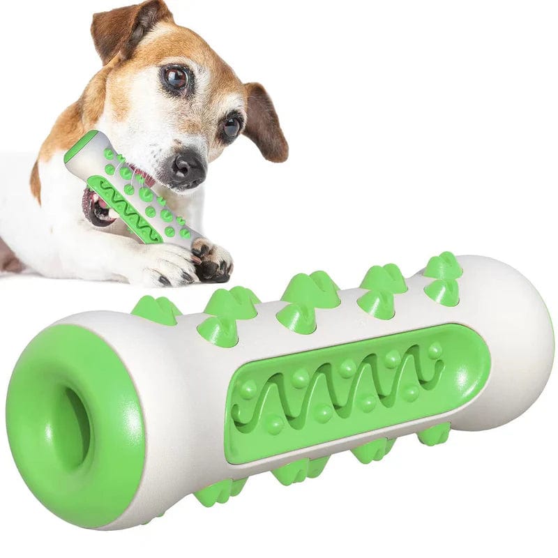 Petcomp Vert DentaForce™ - Assurez le bien-être de votre chien