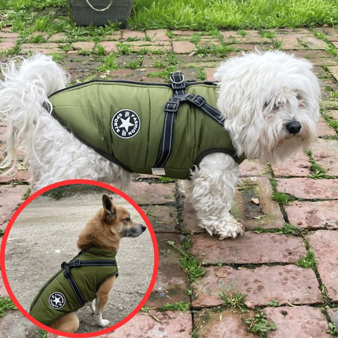 Petcomp Vert / S Gilet Hivernale Étanche - DogLove Confort+